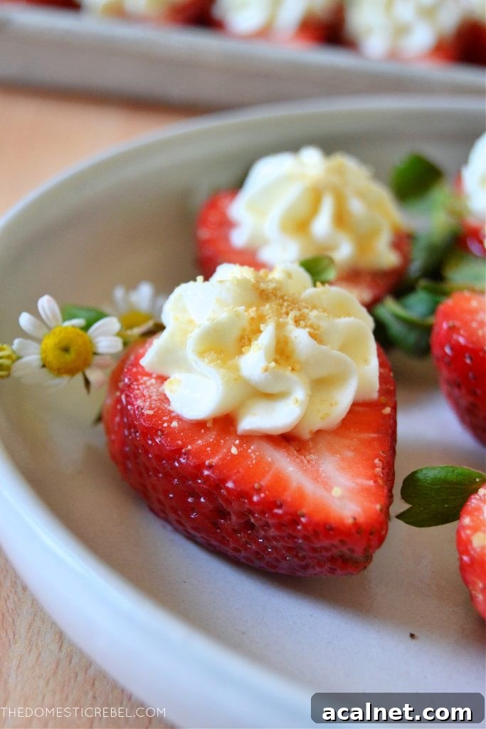 closeup of a cheesecake deviled strawberry on white plate
