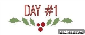 holly-day-1-300x125