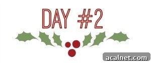 holly-day-2-300x125