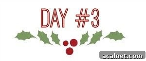 holly-day-3-300x125