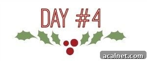 holly-day-4-300x125