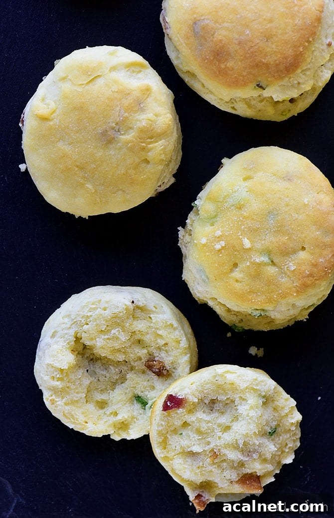 Savory Bacon and Green Onion Biscuits Recipe 2 Easy Bacon Green Onion Biscuits Recipe - These Bacon Green Onion Biscuits make a delicious addition to any meal. Made with just five ingredients, they are just perfect served with a soup or salad, too!