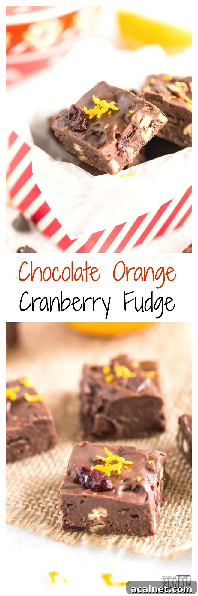 Chocolate Orange Cranberry Fudge Collage