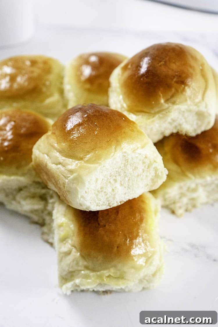 Homemade Dinner Rolls Recipe: Soft, Fluffy Yeast Rolls 2 Easy Dinner Rolls Recipe