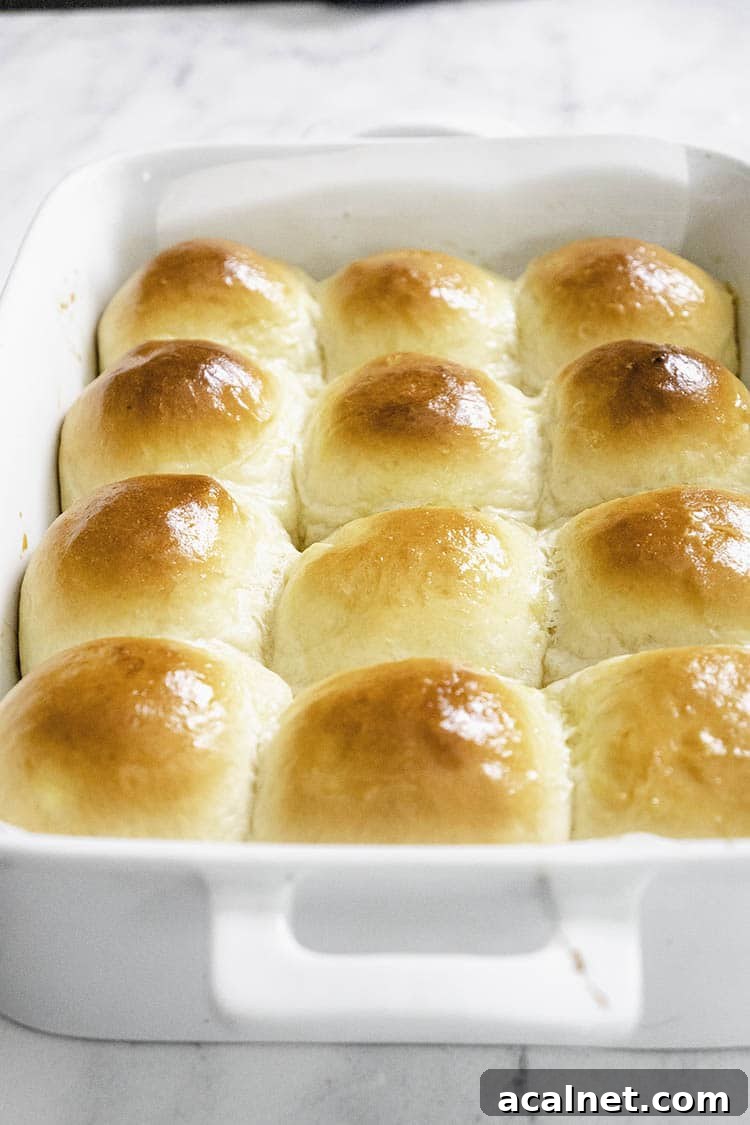 Homemade Dinner Rolls Recipe: Soft, Fluffy Yeast Rolls 10 Easy Dinner Rolls Recipe with Soft and Fluffy Result