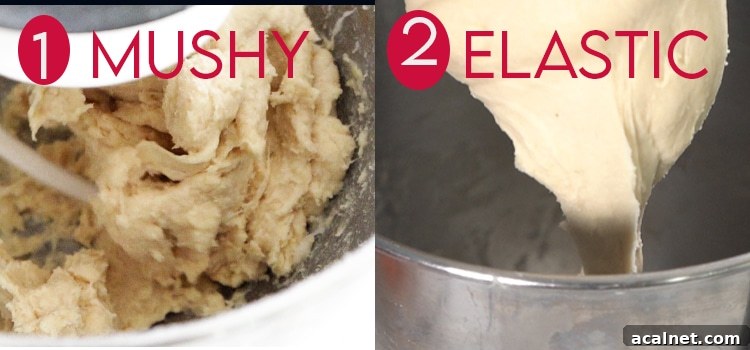 Homemade Dinner Rolls Recipe: Soft, Fluffy Yeast Rolls 4 How to tell the dough is ready