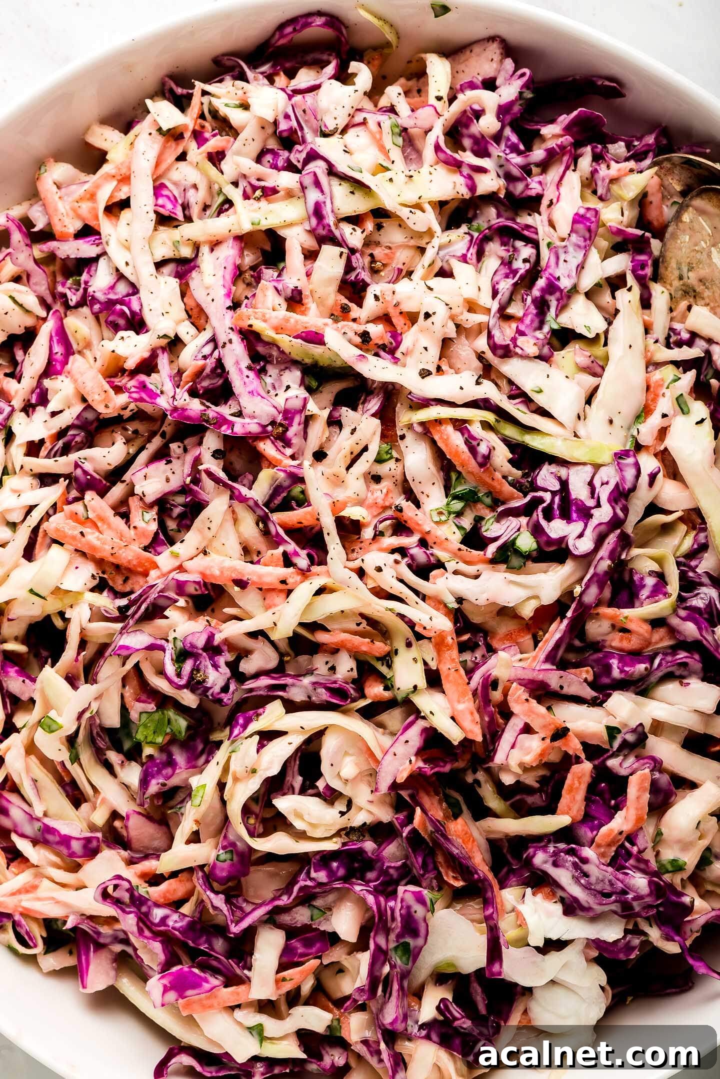 Close up shot of Coleslaw.