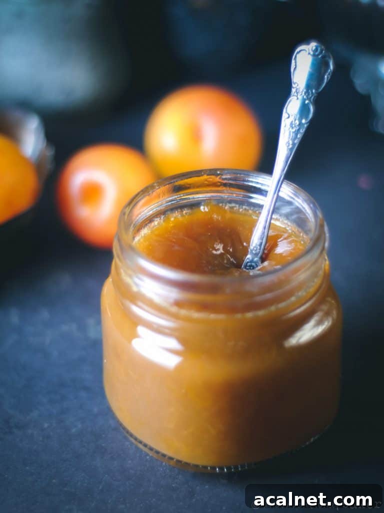 Mirabelle Plum Jam