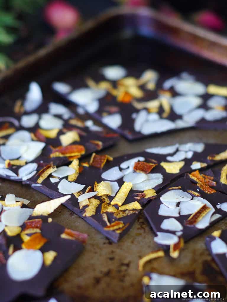 Dark Chocolate with Orange Peel (Free From: Dairy, Refined Sugar, Gluten & Grains, w/ Nut-Free Option)