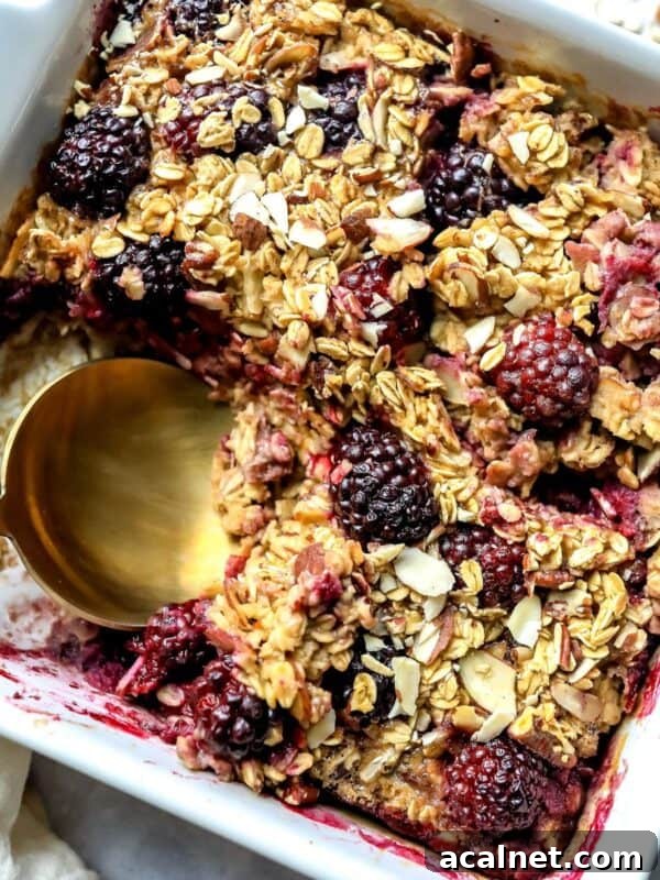 Blackberry Baked Oatmeal in a white baking dish with a spoon.
