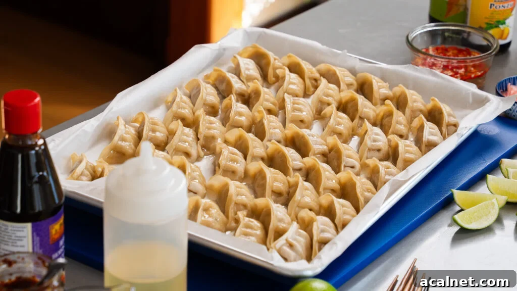 Sheet pan dumplings on a parchment-lined sheet pan.