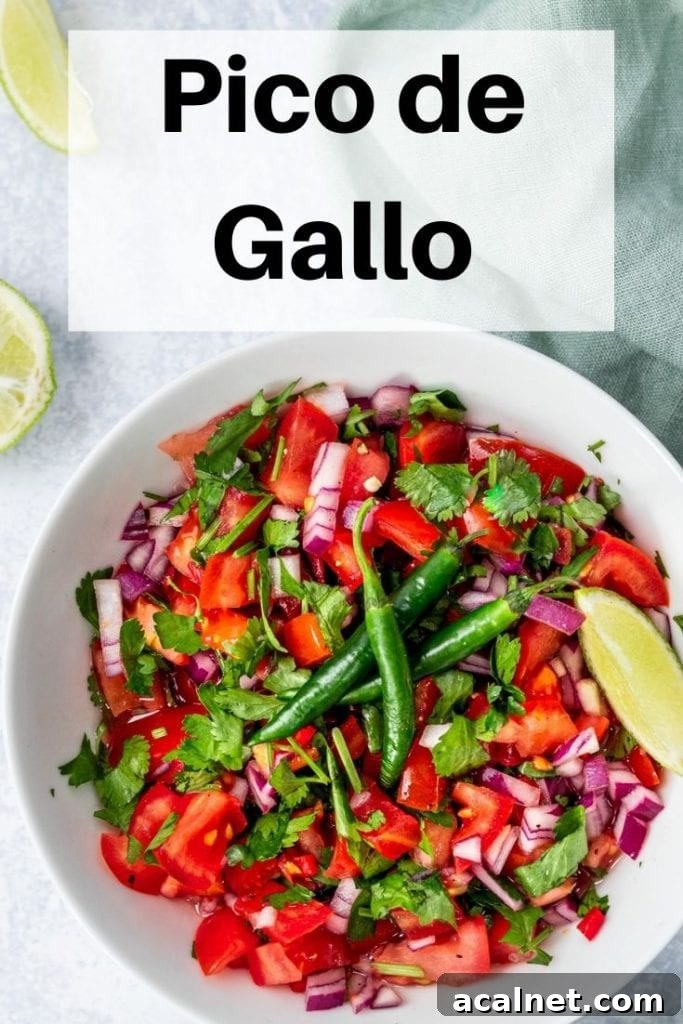 Pico de gallo pin image
