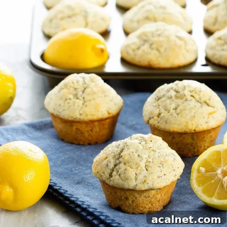 Lemon poppyseed muffins