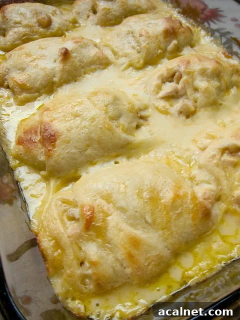 Baked Chicken Roll Ups in a casserole dish