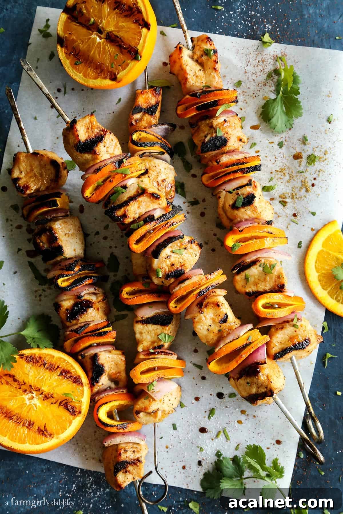 Grilled Chipotle Orange Turkey Kebabs by A Farmgirl's Dabbles