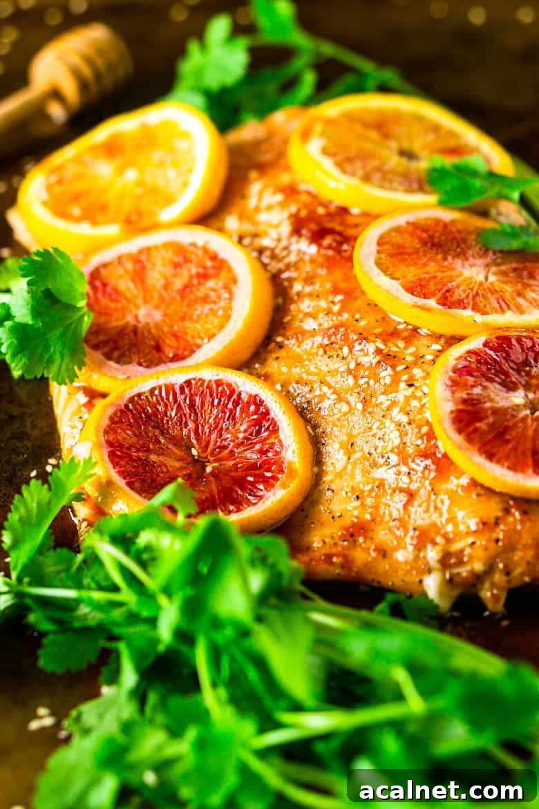 Slow-Roasted Blood Orange Salmon by Burrata and Bubbles