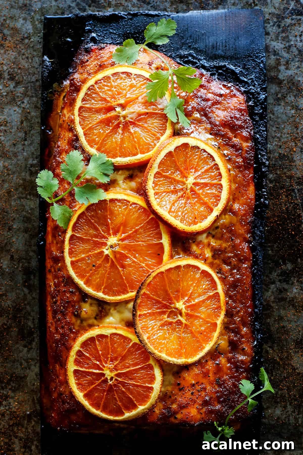 Grilled Chipotle-Orange Salmon by A Farmgirl's Dabbles