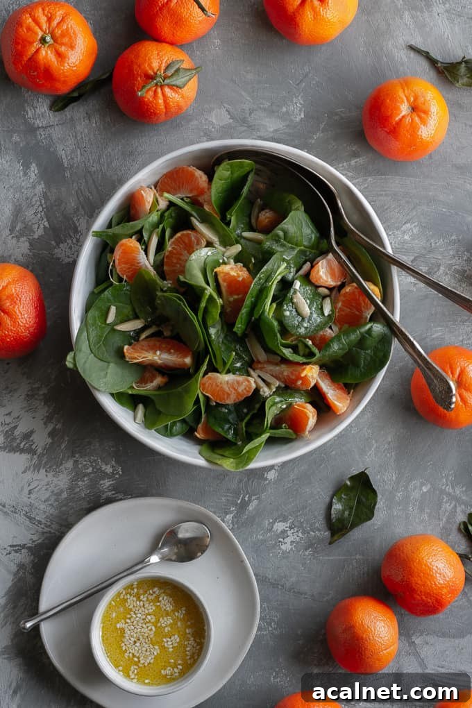 Spinach Mandarin Orange Salad by Champagne Tastes