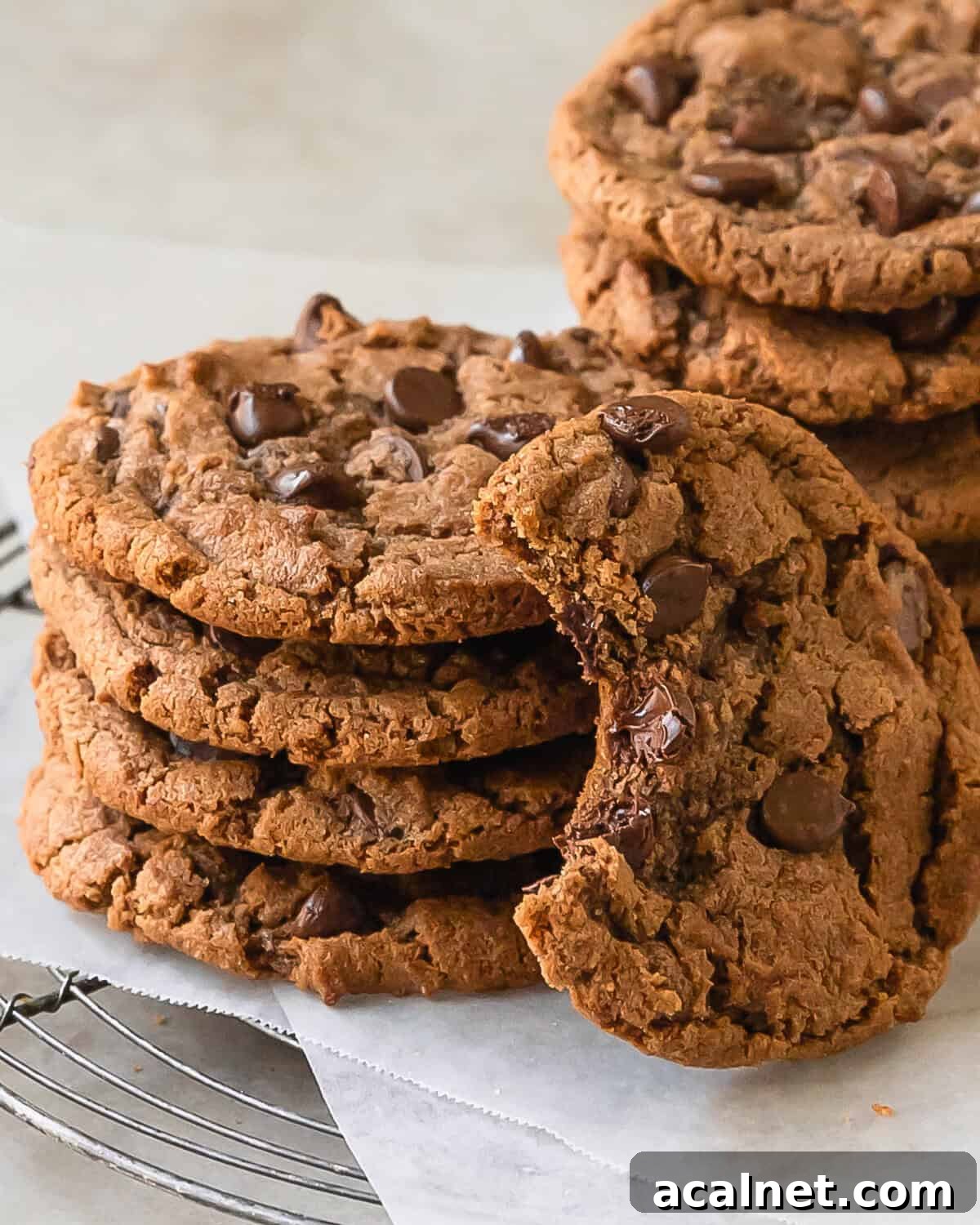 Irresistible Nutella Cookie Recipe for Moist, Chewy Treats 4 Nutella cookies are chewy and fudgy cookies filled with nutty Nutella and melty chocolate chips. This nutella cookies recipe is easy to make with basic pantry ingredients. These rich chocolate hazelnut cookies are sure to be your next favorite cookie.