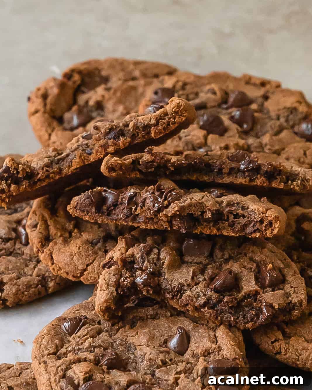 Irresistible Nutella Cookie Recipe for Moist, Chewy Treats 6 Nutella cookies are chewy and fudgy cookies filled with nutty Nutella and melty chocolate chips. This nutella cookies recipe is easy to make with basic pantry ingredients. These rich chocolate hazelnut cookies are sure to be your next favorite cookie.