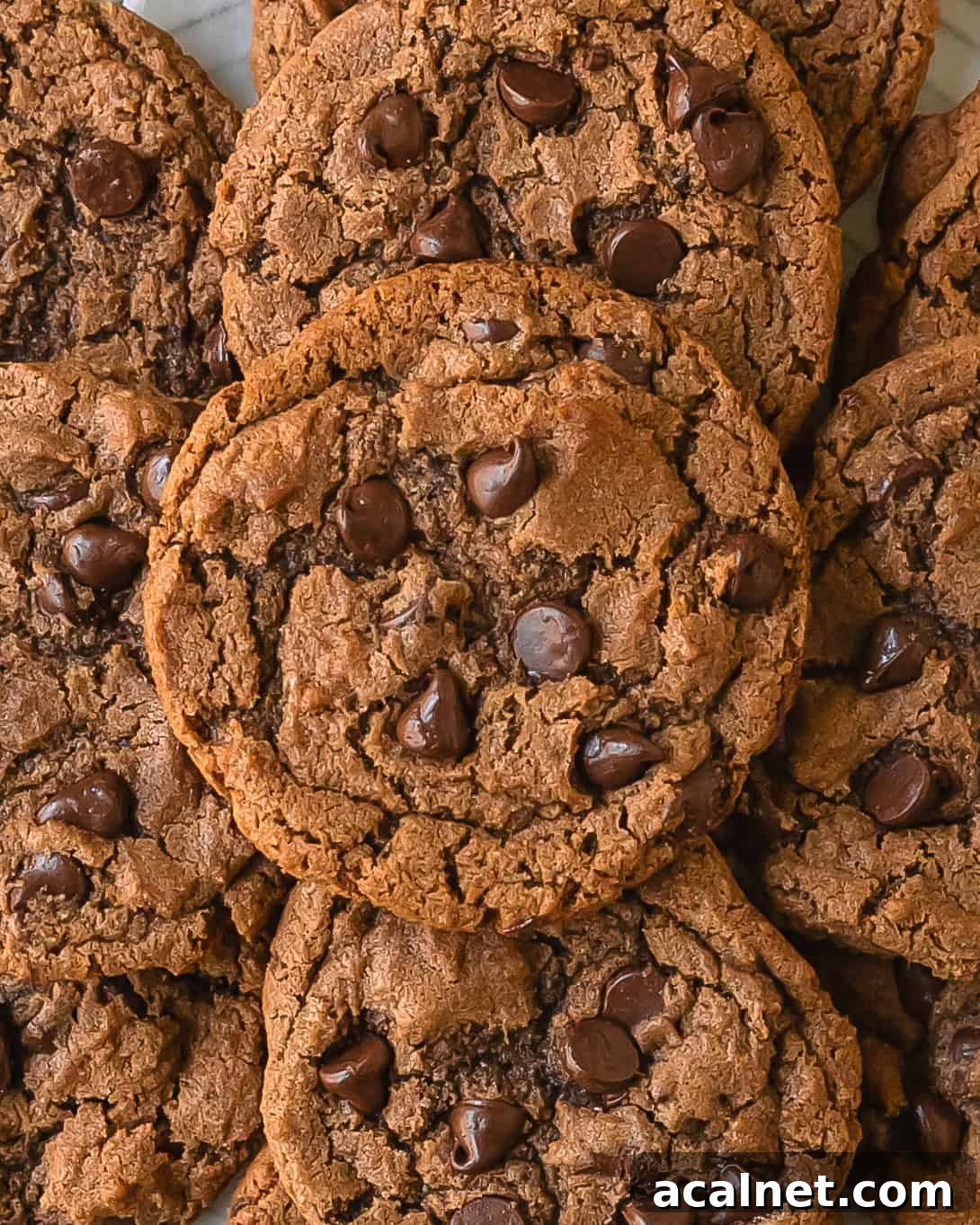 Irresistible Nutella Cookie Recipe for Moist, Chewy Treats 7 Nutella cookies are chewy and fudgy cookies filled with nutty Nutella and melty chocolate chips. This nutella cookies recipe is easy to make with basic pantry ingredients. These rich chocolate hazelnut cookies are sure to be your next favorite cookie.