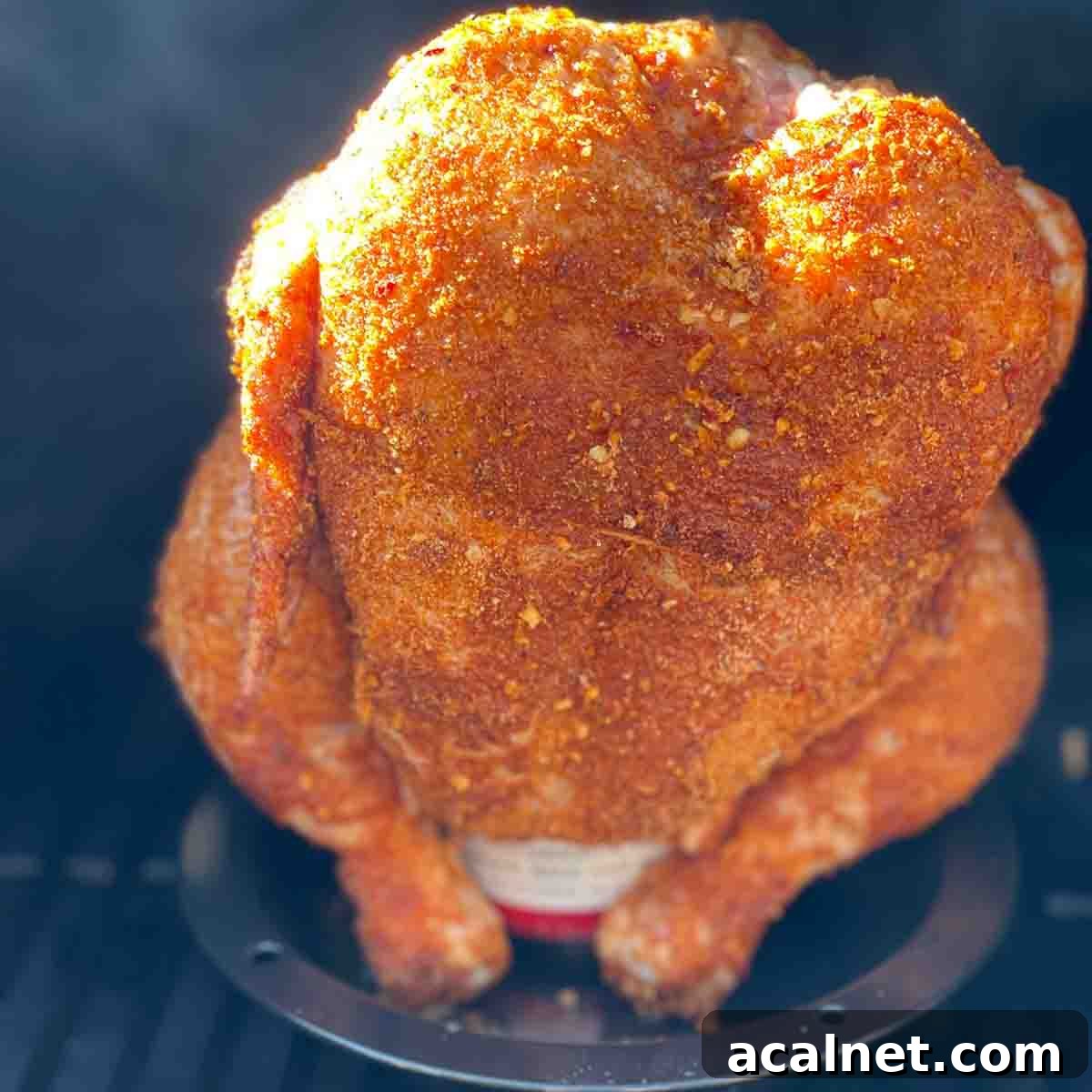 The seasoned whole chicken on a beer can chicken holder in the pellet grill.