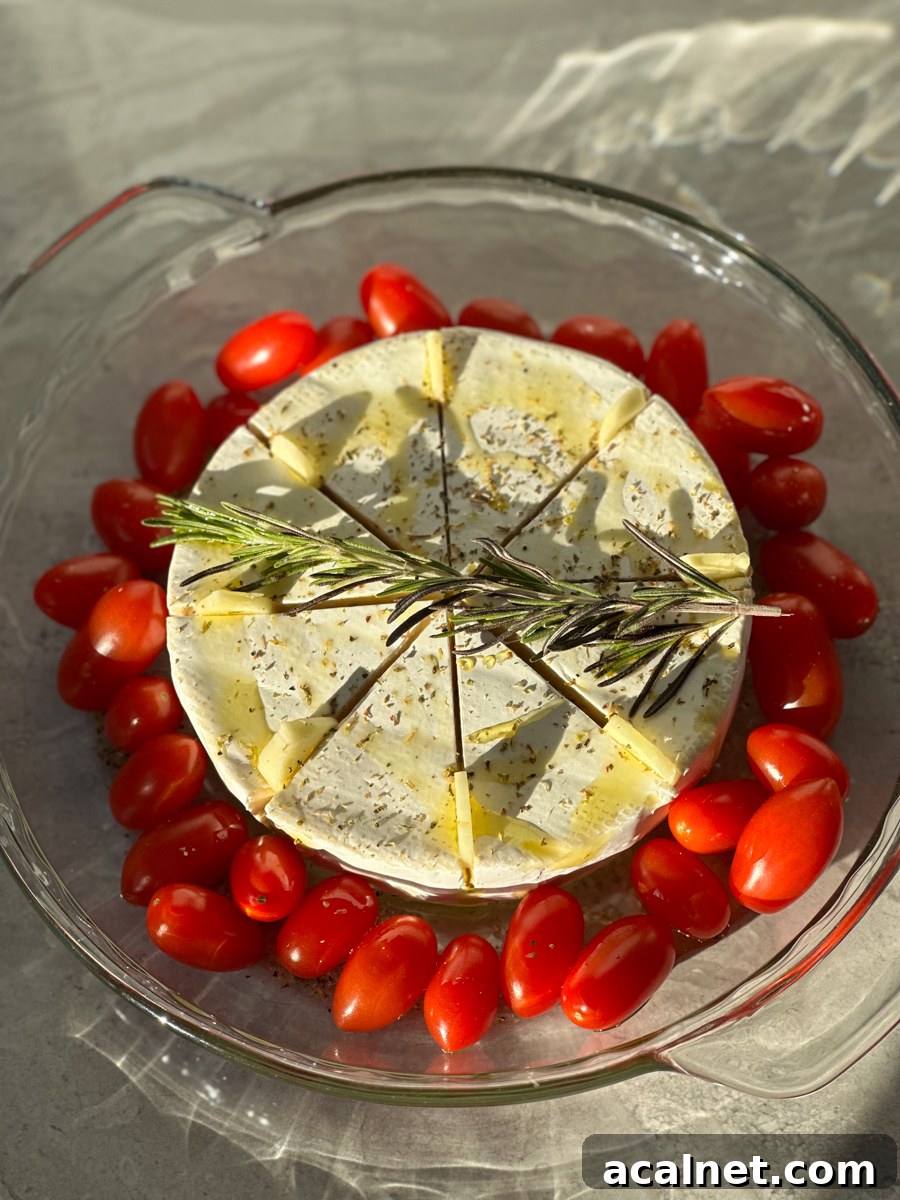 Easy Brie Appetizer