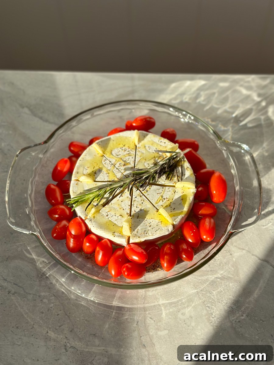 Easy Brie Appetizer
