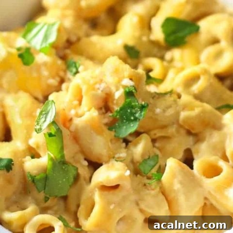 Vegan Cashew Mac and Cheese