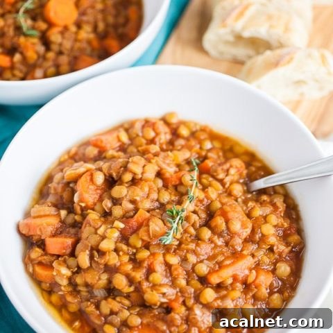 One Pot Hearty Lentil Soup