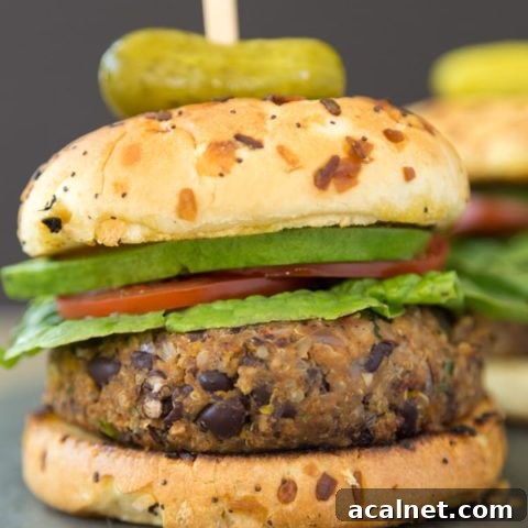 Vegan Spicy Black Bean Quinoa Burger