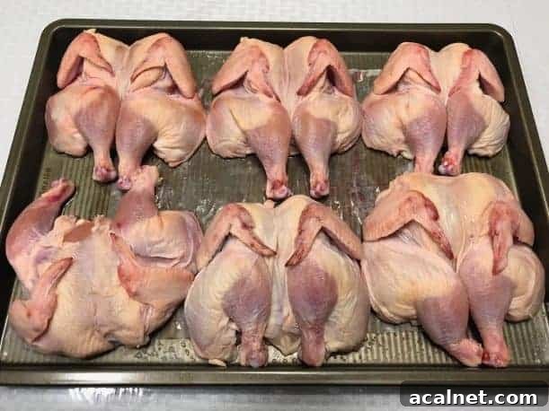 Smoked Whole Christmas Chicken Recipes for Holiday Feasts 8 img 27251 11