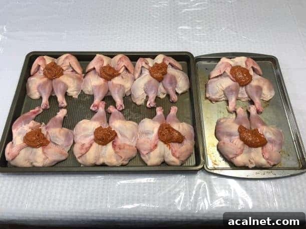 Smoked Whole Christmas Chicken Recipes for Holiday Feasts 9 img 27251 13