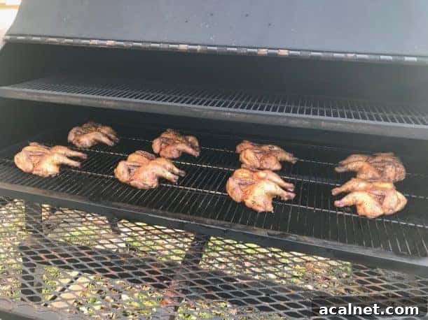 Smoked Whole Christmas Chicken Recipes for Holiday Feasts 10 img 27251 15
