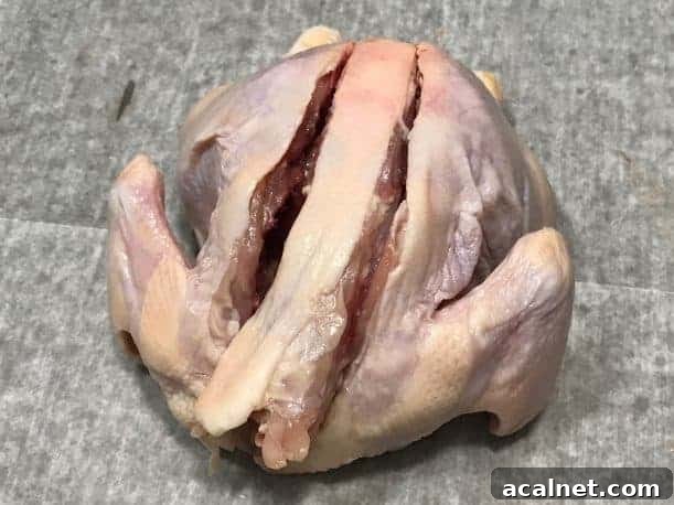 Smoked Whole Christmas Chicken Recipes for Holiday Feasts 4 img 27251 3