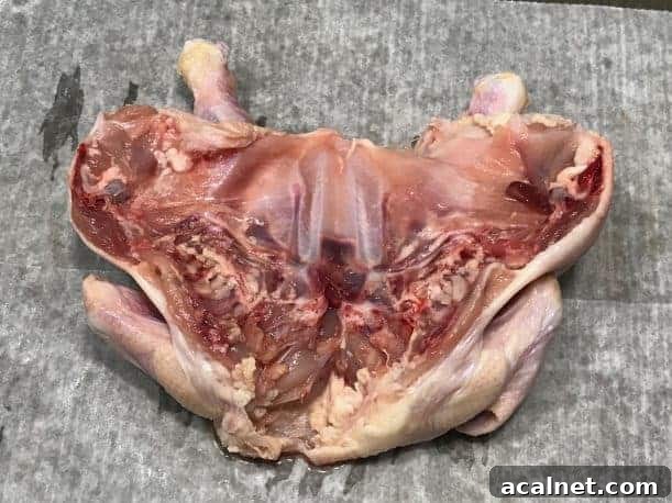 Smoked Whole Christmas Chicken Recipes for Holiday Feasts 5 img 27251 6