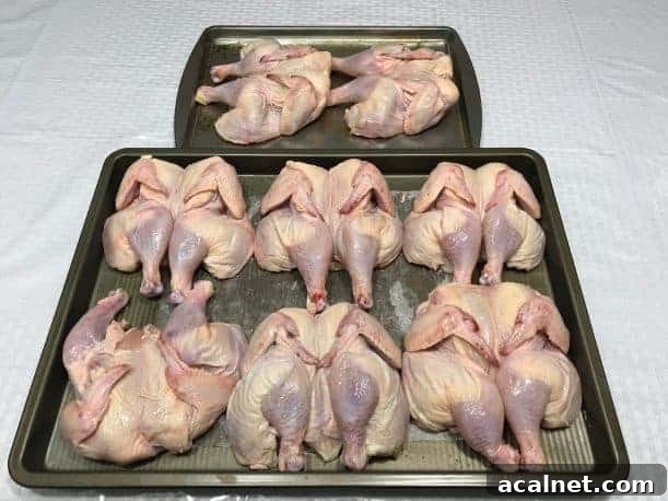 Smoked Whole Christmas Chicken Recipes for Holiday Feasts 7 img 27251 9