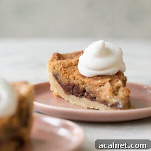 A slice of chocolate chip cookie pie