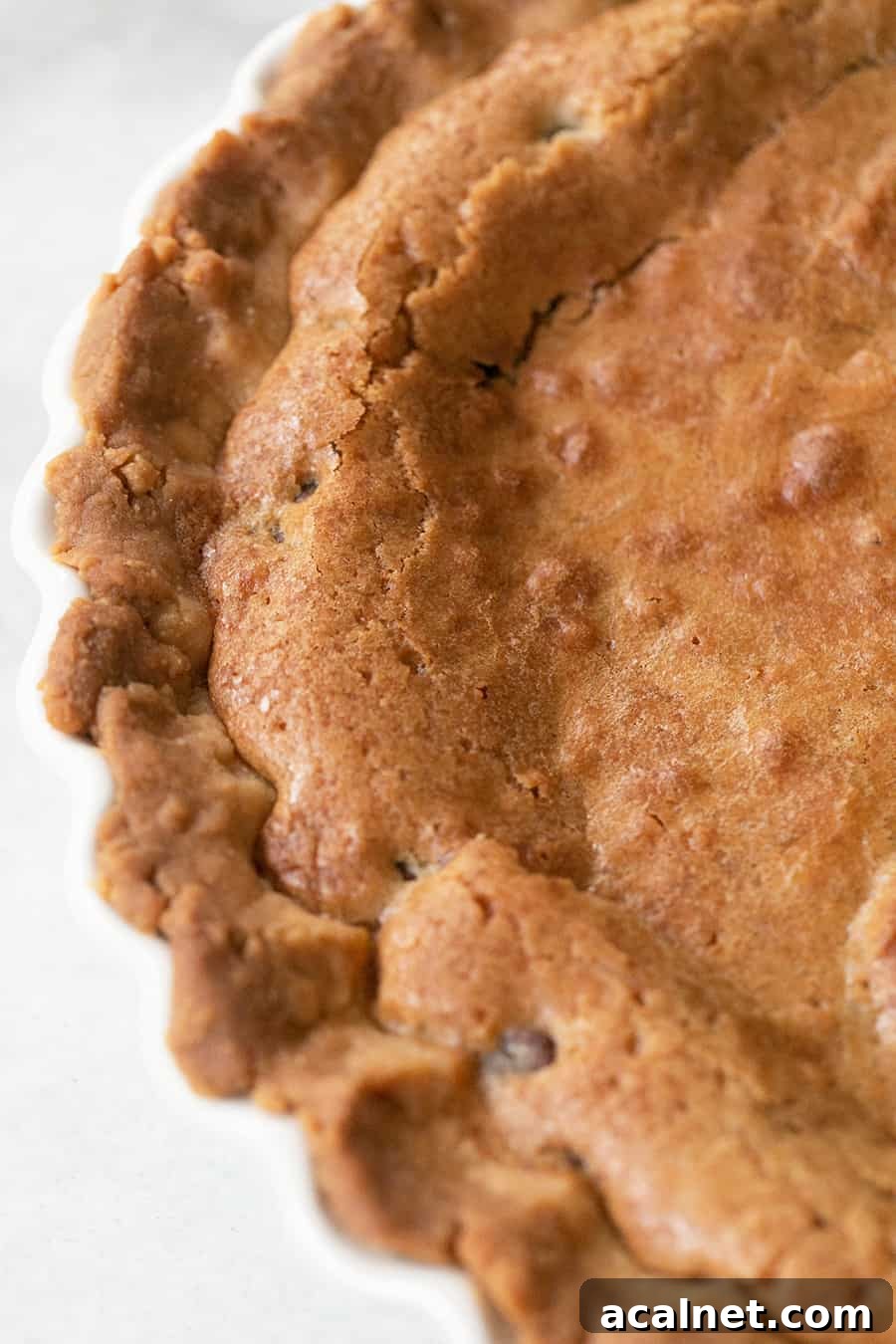 Golden brown chocolate chip cookie pie.