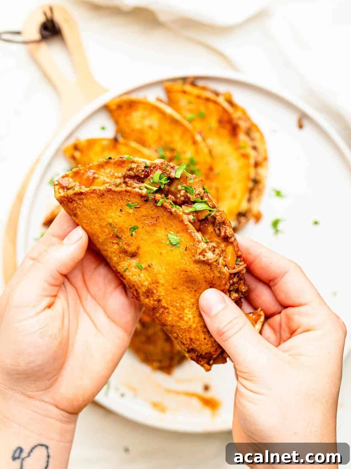 Cheesy Bolognese Birria Tacos in soft white corn tortillas.