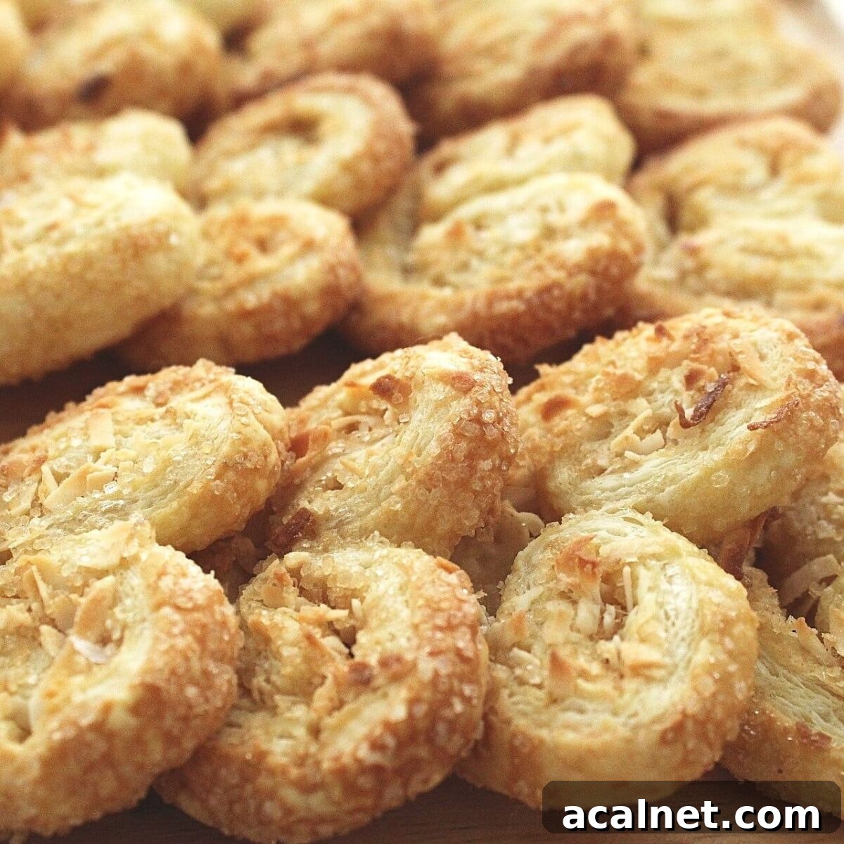 coconut palmiers