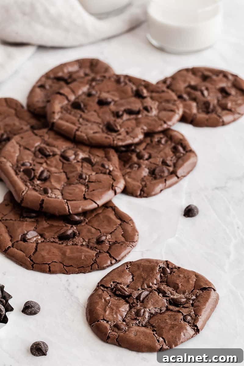 flourless chocolate cookies
