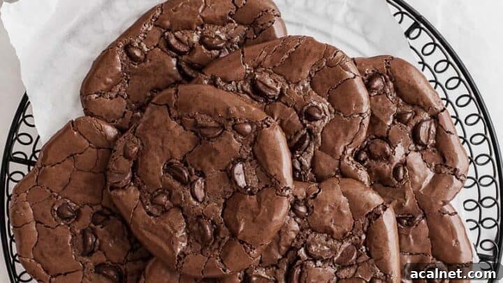 gluten free chocolate cookies
