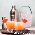 Two glasses of a pretty orange greyhound cocktail.
