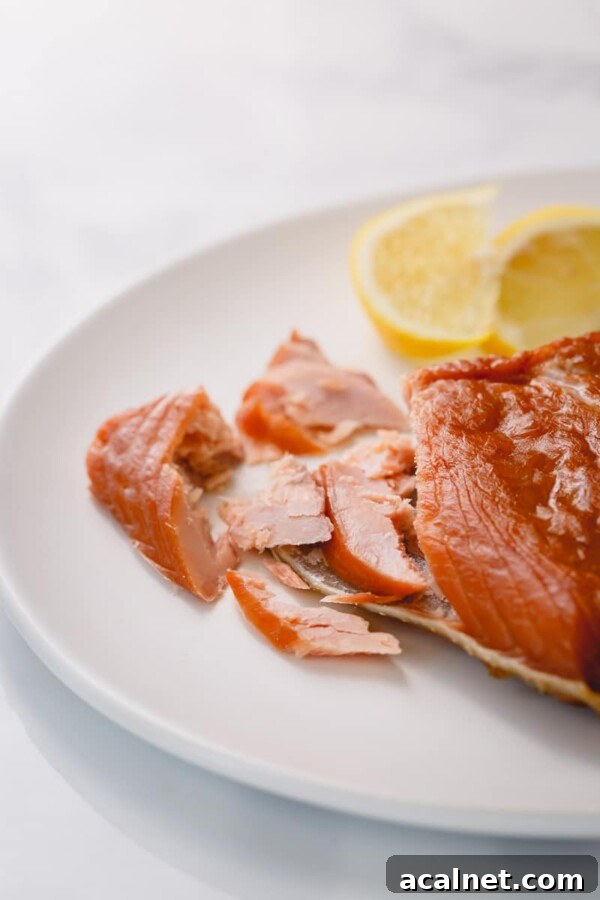Cold vs Hot Smoked Salmon: Which Flavor and Texture Suits You? 4 img 29804 3
