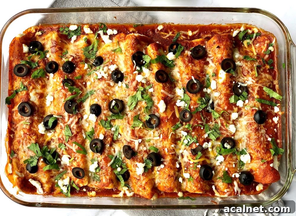 Ready to serve enchiladas