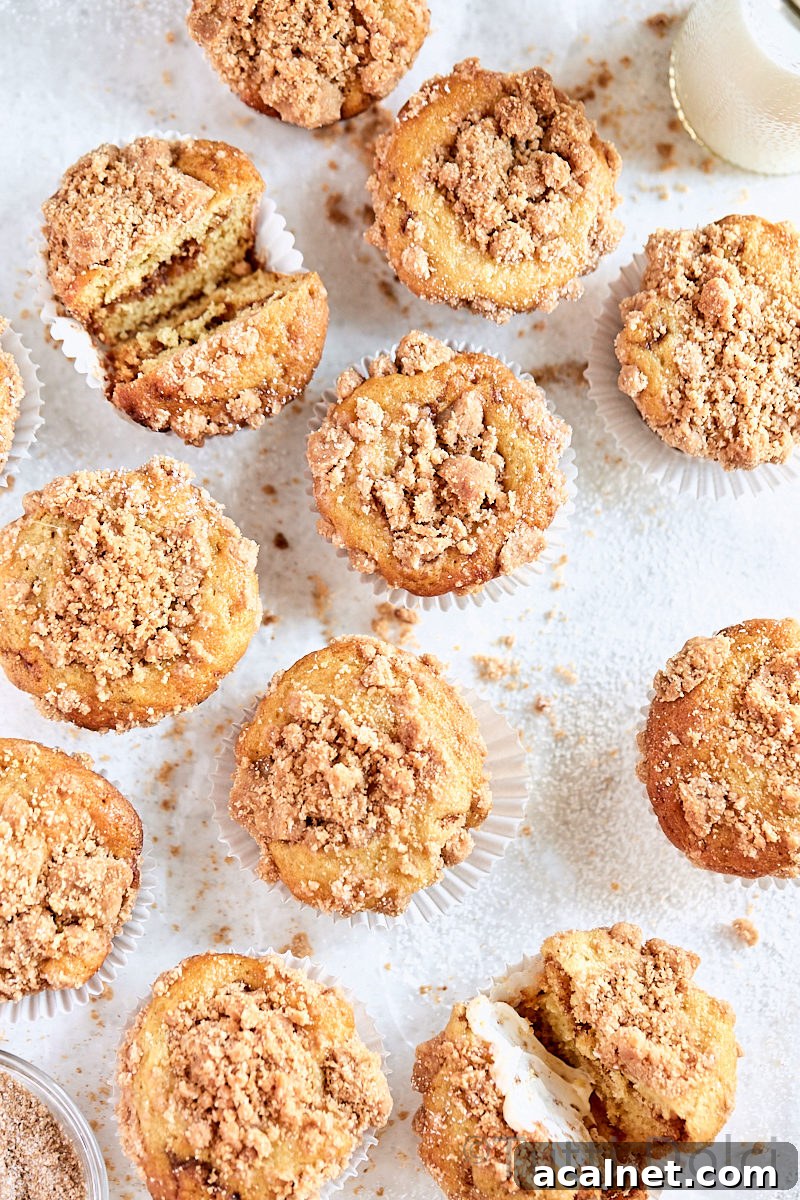 Snickerdoodle Crumb Muffins