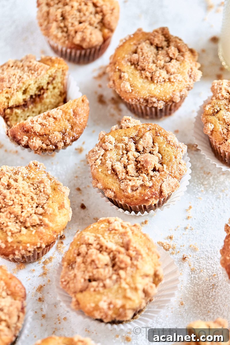 Snickerdoodle Crumb Muffins