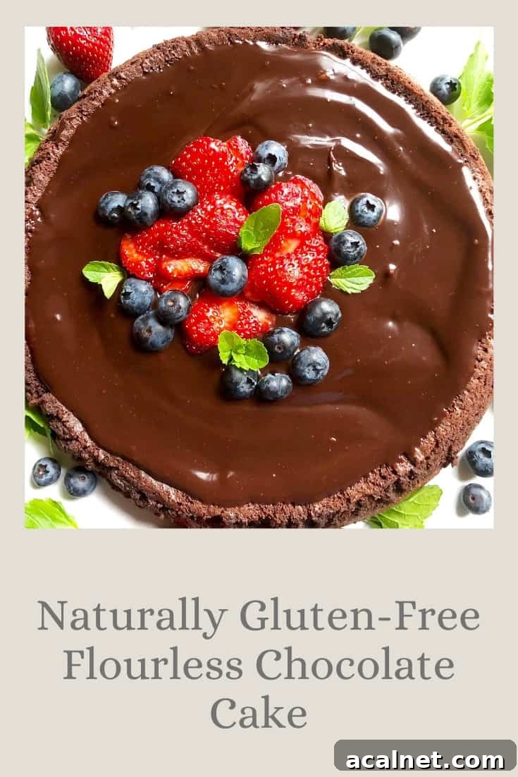 Naturally Gluten-Free Flourless Chocolate Cake