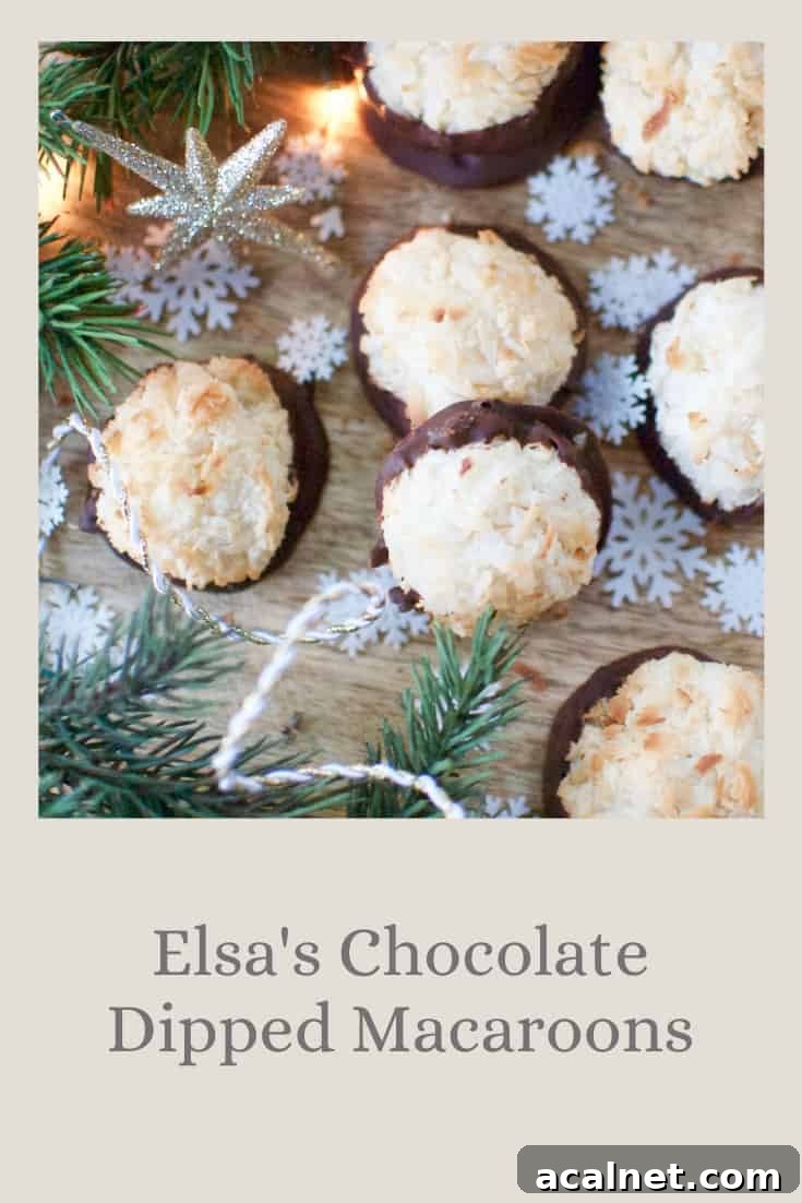 Elsa's Chocolate Dipped Macaroons